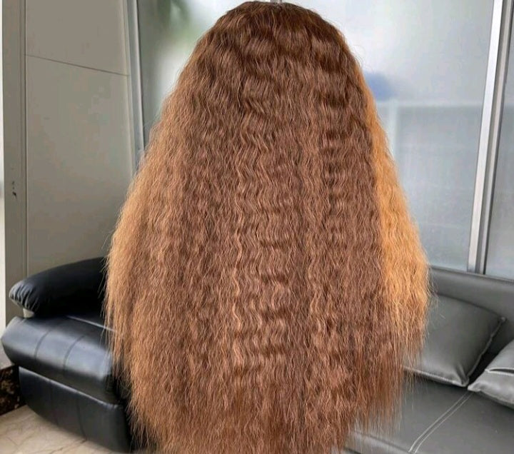 Brown Highlight Wavy Lace Front Wigs